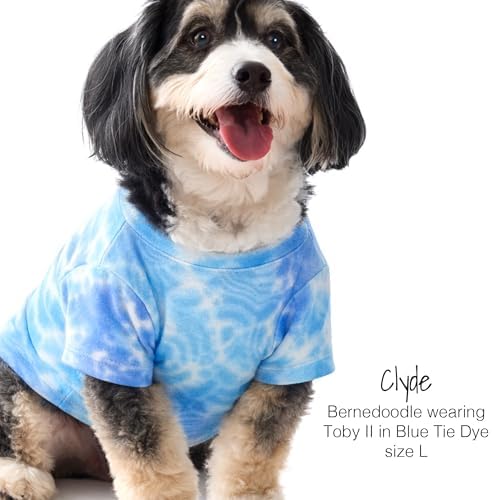 Pet Passion Toby II Dog T-Shirt, 3 Pack, Blue Tie Dye, Large