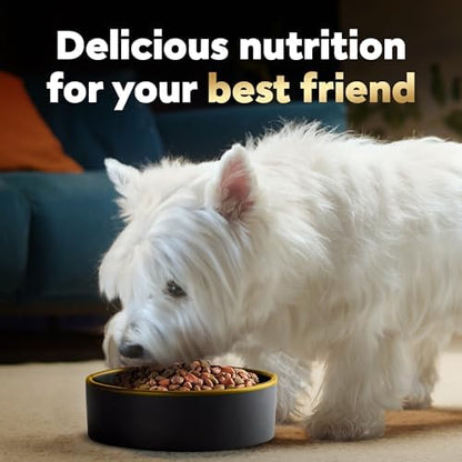 Cesar Small Breed Dry Dog Food, Chicken & Spring Vegetables Flavor, 2.7 lb