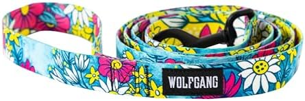 Wolfgang 1 Inch Venture Dog Leash Lazydaisy Print Large
