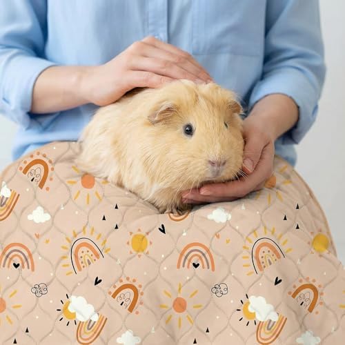 Guinea Pig Cage Liner, 49"x24" Bedding for Midwest Cage 2 Pack, Rainbow