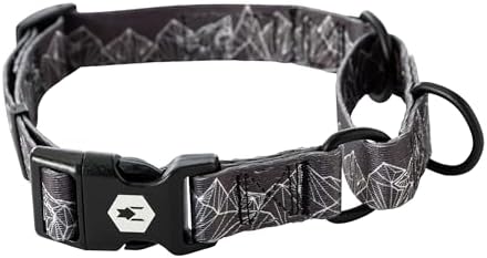 Wolfgang Heavy Duty Martingale Dog Collar with Quick Release Nylon Buckle for Walking & Training, WolfMountain Print, Extra Large