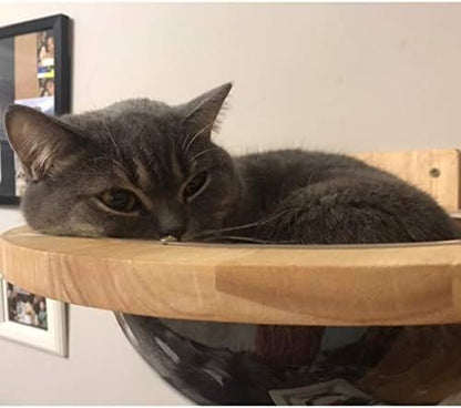 Wall-mounted Wooden Cat Space clear Capsule Cat Bed Small Pets Bed Cat Toy Cat Furniture(Large Capsule)