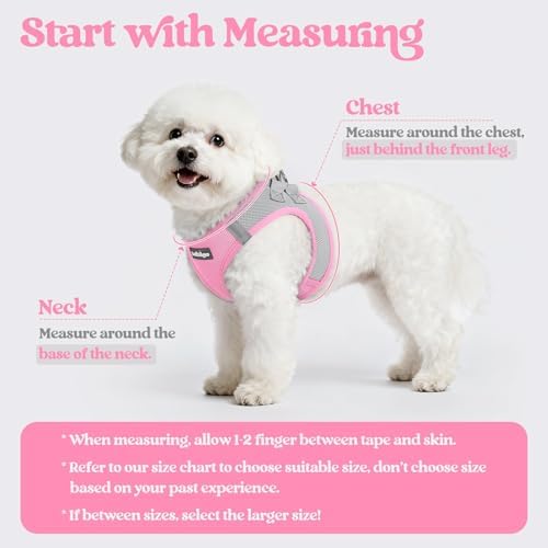 rabbitgoo Dog Harness Small Sized and Leash Set, Step-in Puppy Pet Vest