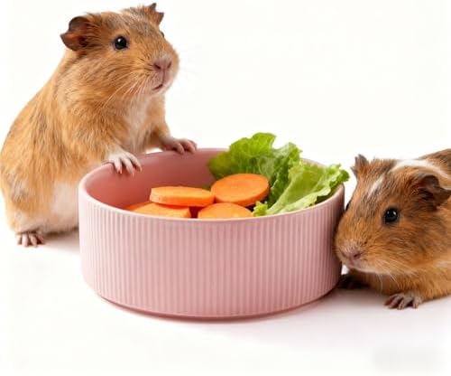 Guinea Pig Vegetable Bowl, 6 in Pink Ceramic Shallow Dish
