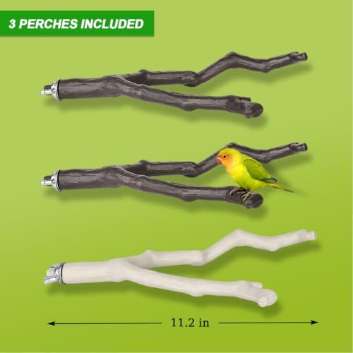 3 Pack Bird Perches for Cage, Bird Cage Accessories Branch Style Bird Stand with Mounting Hardware, Textured Climbing Perches for Budgie Cockatiels Finches Small Birds Plastic