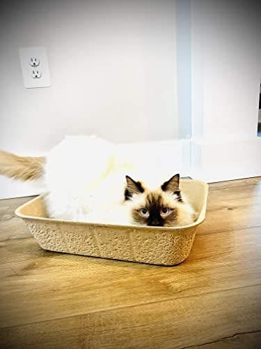 Midlee Disposable Cat Litter Boxes, Pack of 5