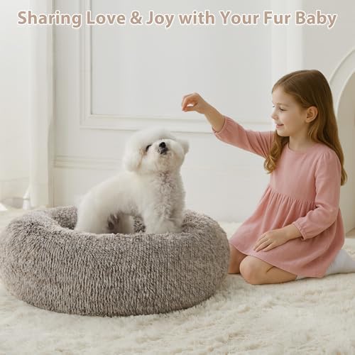 WNPETHOME Small Round Calming Dog Bed Cat Bed for Comfy Sleep