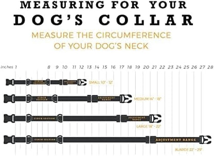 Wolfgang Martingale Dog Collar Hideout Print X-Large