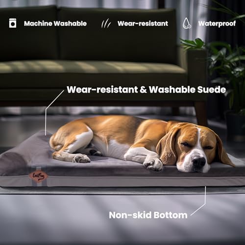 Laifug Orthopedic Dog Beds for Large Dogs,3" Memory Foam Dog Beds,Durable Water Proof Liner Removable and Washable, Nonskid Bottom, Grey 34"x22"x5.5"