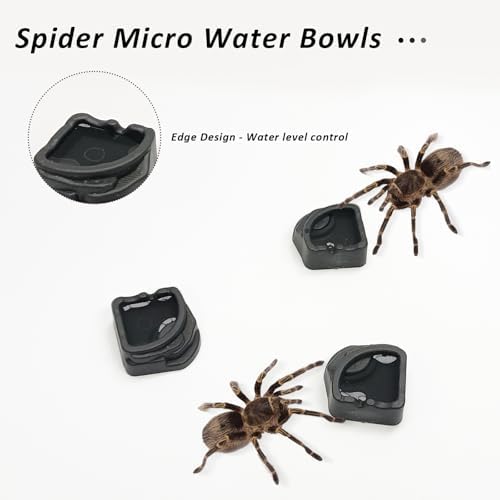 6 Pcs Spider Micro Water Bowls, Mini Resin Dish for Tarantula, Spider, Millipede and Tiny Reptiles, Food/Water Dish for Enclosure Accessories (Small: 1.01" D, 0.39" H)