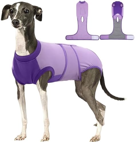 Kuoser Dog Recovery Suit, Female Male Spay Neuter Surgery Suit, Purple, L