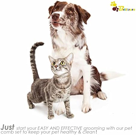 2 Pack Dog Grooming Brush, Premium Soft Silicone Pet Bath Brushes with Adjustable Handle, Shampoo Soothing Comb for Wet Dry Long Short Haired Dogs & Cats Massaging, Deshedding