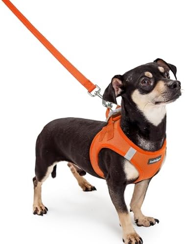 rabbitgoo Dog Harness Small Sized and Leash Set, Step-in Puppy Pet Vest
