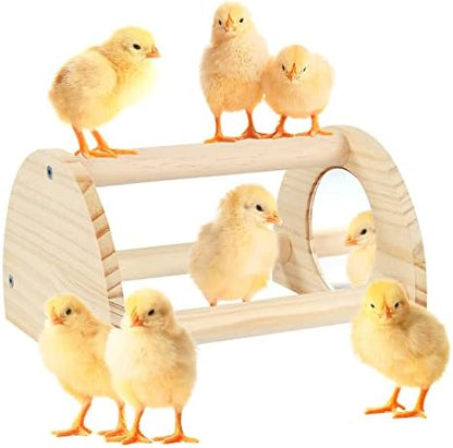 Pine Chicken Perch with Mirror, Strong Chick Jungle Gym Roosting Bar, Chicken Toys for Coop and Brooder, Training Perch Toys for Large Bird, Parrot, Macaw, Hens (Small)