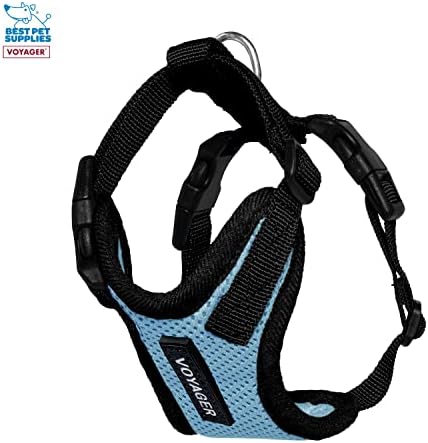 Best Pet Supplies Voyager Step-in Lock Pet Harness w Reflective Pet Leash Combo Set with Neoprene Handle 5ft - Supports Small, Medium and Large Breed Puppies/Cats - Baby Blue/Black Trim, XXXS