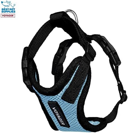 Best Pet Supplies Voyager Step-in Lock Pet Harness w Reflective Pet Leash Combo Set with Neoprene Handle 5ft - Supports Small, Medium and Large Breed Puppies/Cats - Baby Blue/Black Trim, XXXS