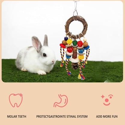 Bunny Chew Treat Toy for Teeth, Rabbit Cage Hanging Chew Toys and Rattan Ring with Snack,Natural Material Handwoven Chinchilla Treats Toys for Guinea Pig Gerbils Hamster Rat Teeth Grinding