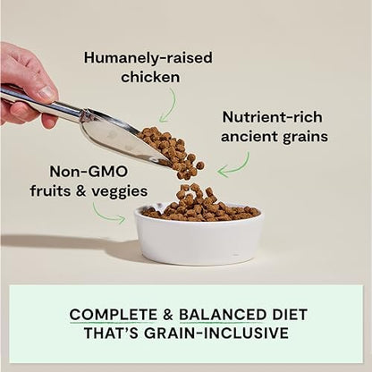 Open Farm Ancient Grains Dry Dog Food, Harvest Chicken Kibble, 4lb Bag