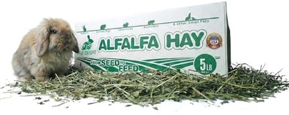 High Desert Alfalfa Hay, Protein Rich Soft Leaf Food for Young Growing Animals, Natural Rabbit Food and Guinea Pig Hay, Supports Digestive Health, Small Pet Supplies, Fresh Hand Packed 5 Lb Box