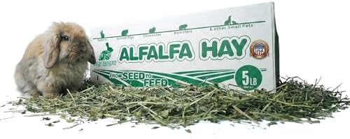 High Desert Alfalfa Hay, Protein Rich Soft Leaf Food for Young Growing Animals, Natural Rabbit Food and Guinea Pig Hay, Supports Digestive Health, Small Pet Supplies, Fresh Hand Packed 5 Lb Box