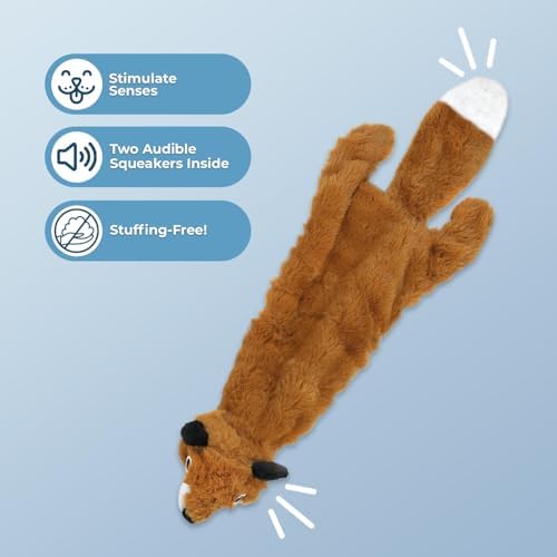 Best Pet Supplies 2-in-1 Stuffless Squeaky Dog Toy - Fox, Large