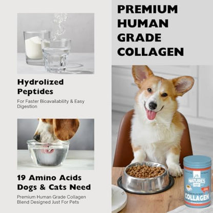 Nature's Diet Beef Collagen Peptides Type 1 for Dogs & Cats, Joint, Digestion & Skin Health Support, Premium Human Grade, Grass fed