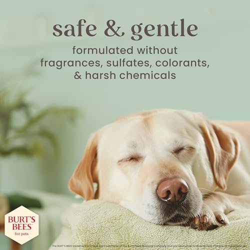Burt's Bees Manuka Honey Itch Soothing Dog Shampoo, Chamomile, 16 Fl Oz