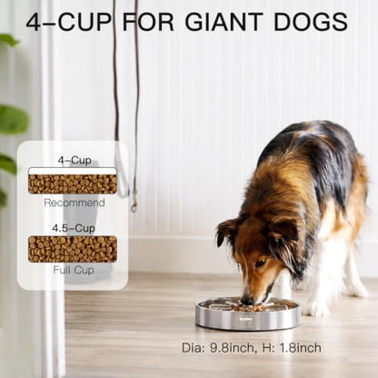 Feedoo Slow Feeder Dog Bowl 4-Cup, Double-Wall Stainless Steel, 2-Pack