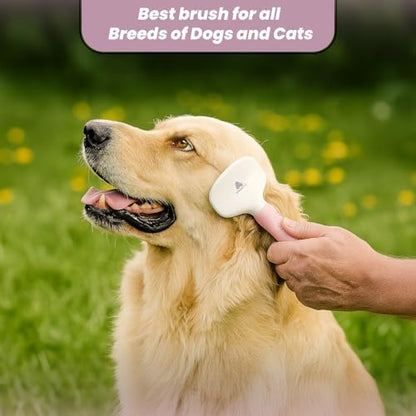 Slicker Brush for Grooming - Slicker Brush for Dogs and Cats can act as Deshedding Pet Tool for Healthy Coat Maintenance and Suitable for Short and Long Haired Dogs and Cats