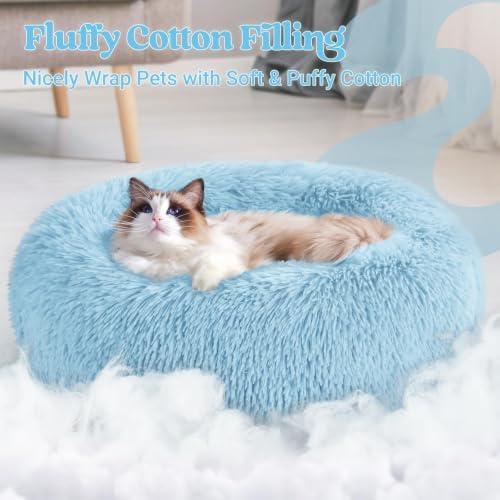 rabbitgoo Calming Cat Beds for Indoor Cats, 20 inches, Light Blue