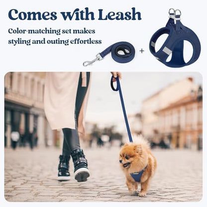rabbitgoo Dog Harness Medium Sized and Leash Set, Step-in Puppy Pet Vest