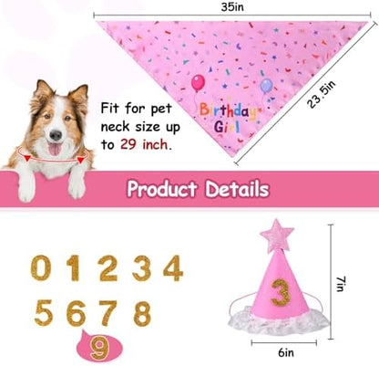 Dog Girl Birthday Party Hat, Dog Birthday Party Supplies