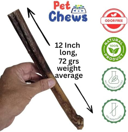 12" Jumbo Bully Sticks (15 Pack) - 72g - 2.4 Oz Average per Stick (Total 2.5 Lb) - 100% Natural Grass-Fed Beef Pizzle, Odor-Free - Long Lasting Chews for Large Dogs & Power Chewers.