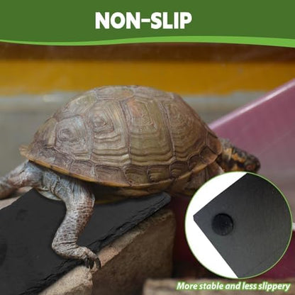 kathson 2 PCS Reptile Basking Platform (7.9 x 3.9 inches), Natural Rock Plate Turtle Food Bowl Feeding Dish Resting Terrace Habitat Decor for Tortoise Turtle Lizard Bearded Dragon Crested Gecko Snake