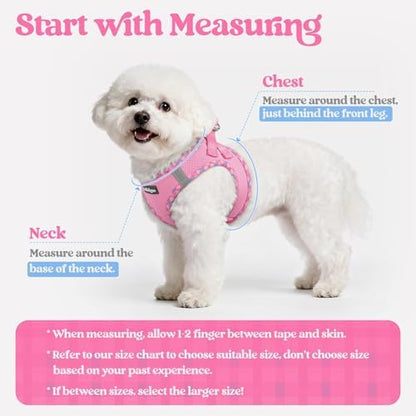 rabbitgoo Dog Harness Medium Sized and Leash Set, Step-in Puppy Pet Vest
