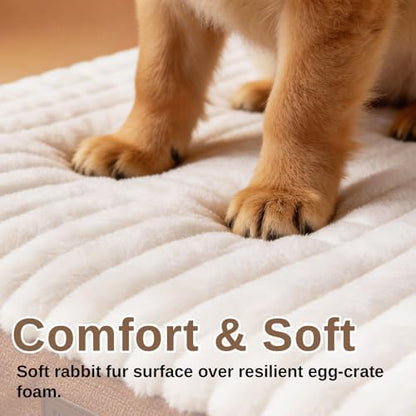 Orthopedic Dog Bed for Medium Dogs,Firm Egg Crate Foam,Nonslip Bottom,Brown