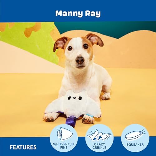 BarkBox Manny Ray Dog Toy - for Dogs