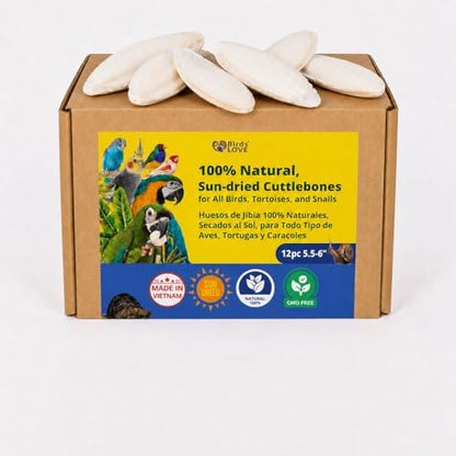 Birds LOVE 5.5 - 6″ Cuttlebones for Birds – 100% Natural Sun-Dried Calcium & Beak Conditioning Supplement for Parakeets, Budgies, Cockatiels, Finches & Canaries – 12 Pack with Holder – Made in Vietnam