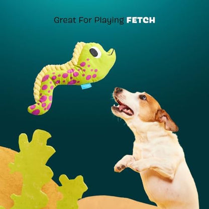BarkBox Maury EEL Plush Dog Toy