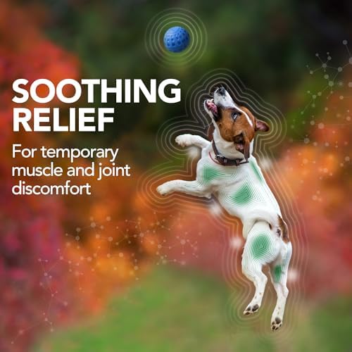 Vet's Best Dog Pain Relief Supplement, Dog Aspirin Alternative, 150 ct