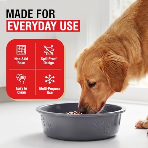 Loving Pets Dolce Luminoso Dog Bowl, Small, Silver