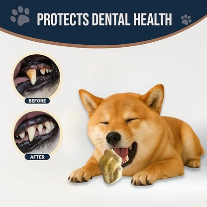 Gorilla Coffee Wood Dog Chew Stick Toy for Dog, Made from Real Coffee Wood, Sticks for Pets, Pets Health, Teeth Cleaning and Relieve Stress (Medium)