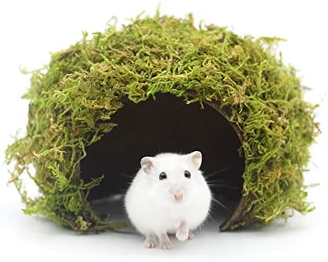 Hamster Hideout - Large, Natural Moss, Handcrafted for Syrian Hamsters, Rats & Guinea Pigs, Safe & Eco-Friendly