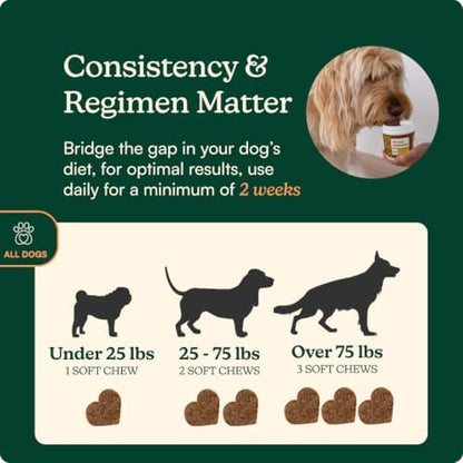 Reggie Morning Multivitamins for Dogs | Daily Dog Vitamin Chews with Vitamins & Minerals for Immunity, Heart, Skin, Coat, Joints & Digestion | Vet-Approved, Natural Dog Supplement | 60 Soft Chews