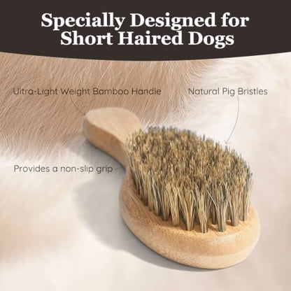 Soft Boar Bristle Short Hair Dog Brush, Fit Puppy, Kittens, Small Pets