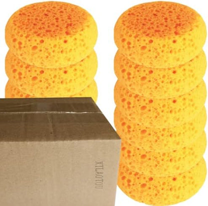 A Box of 12 Tack Sponges (coarse Holes)