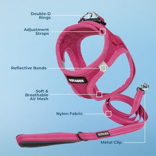 Best Pet Supplies Voyager Step-in Air All Weather Mesh Harness and Reflective Dog 5ft Leash Combo with Neoprene Handle, for Small, Medium and Large Breed Puppies - Fuchsia, X-Large