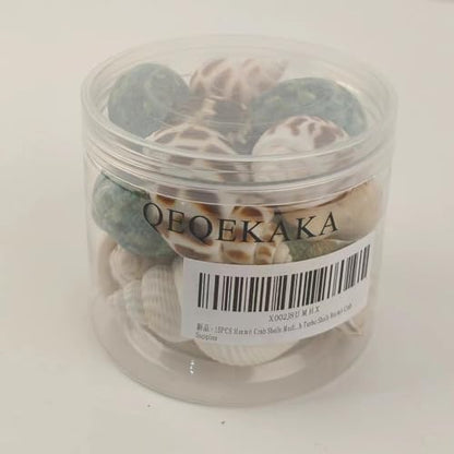 QEQEKAKA 15PCS Hermit Crab Shells Natural Mixed Seashells Replacement