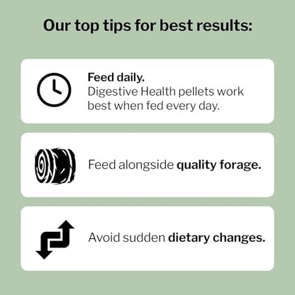 Formula 707 Digestive Health Supplement for Horses, 4 lb – Probiotics