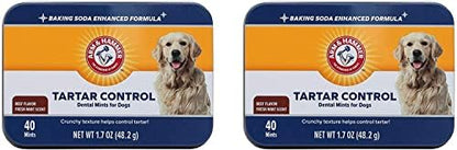 Arm & Hammer Tartar Control Dental Mints for Dogs, Beef Flavor, 40 Ct, 2-Pk